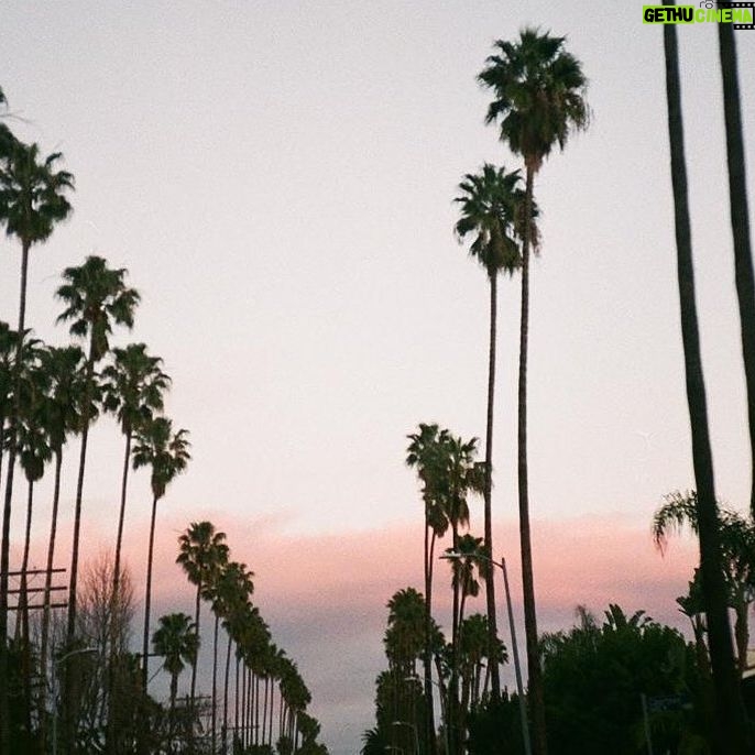 Nadia Hilker Instagram - Palms & Drives Looking back at all these beautiful drives through endless palm trees…. 📸 by @jaabaaluu #ThrowBack #ThrowBackThursday #Drive #Driving #LosAngeles #LA #PhotoOfTheDay #Photography #PhotoLove #NadiaHilker #PalmTrees #PalmLover #Hollywood #Dreaming #Traveling #NadiaHilker #TWD #SunsetDrive #SunsetPhotography #SunsetLove