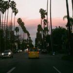 Nadia Hilker Instagram - Palms & Drives Looking back at all these beautiful drives through endless palm trees…. 📸 by @jaabaaluu #ThrowBack #ThrowBackThursday #Drive #Driving #LosAngeles #LA #PhotoOfTheDay #Photography #PhotoLove #NadiaHilker #PalmTrees #PalmLover #Hollywood #Dreaming #Traveling #NadiaHilker #TWD #SunsetDrive #SunsetPhotography #SunsetLove