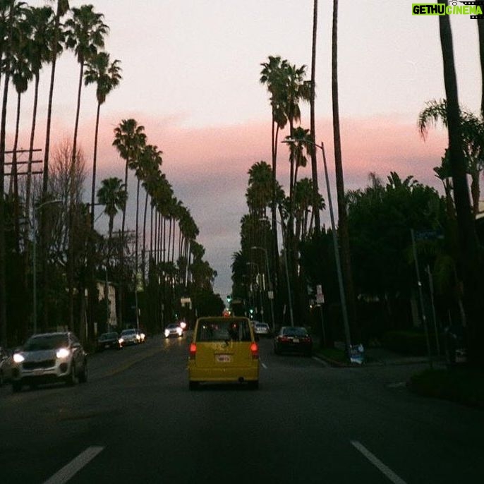 Nadia Hilker Instagram - Palms & Drives Looking back at all these beautiful drives through endless palm trees…. 📸 by @jaabaaluu #ThrowBack #ThrowBackThursday #Drive #Driving #LosAngeles #LA #PhotoOfTheDay #Photography #PhotoLove #NadiaHilker #PalmTrees #PalmLover #Hollywood #Dreaming #Traveling #NadiaHilker #TWD #SunsetDrive #SunsetPhotography #SunsetLove