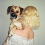 Nadia Hilker Instagram - Hugs & Wigs Missing my Pacho snuggles… 📸 by @jaabaaluu #PuppyLove #BestBuddy #DogLove #BlondHair #NadiaHilker #FridayMood #DressUpFriday #ThrowBack #DogMummy #EndlessLove #snuggles