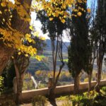 Nadia de Santiago Instagram - El fin de semana pasado estuvimos en Brihuega. Un pueblo precioso a tan solo una hora de Madrid. Nos hospedamos en @castillatermalbrihuega una antigua Casa de Paños reformada que nos gustó muchísimo y que recomiendo mucho. Gracias @dafnefernandez por la inspiración 🤗 🐬 🧖🏻‍♀️ 🫶🧖♥️🌱🍮🪻🍯