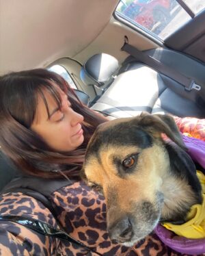 Naiara Awada Instagram - El color que me hizo @malapeluqueria y nutrición a mi pelito que tanto me preguntaban me hago ahí ☺️
Y viernes de cookie recorre ( pet friendly ) like y les mostramos todo nuestro día juntas recorriendo la city