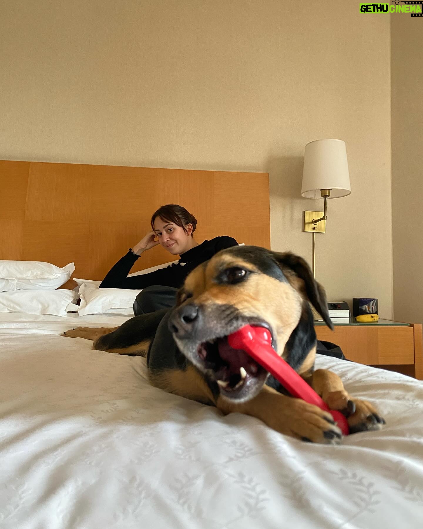 Naiara Awada Instagram - My life be like Hotel room con cu y mami @sheratonbuenosaires gracias por siempre recibirnos y gracias @royalcaninar por los regalos para cu!