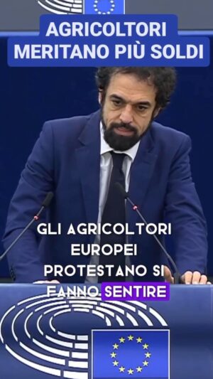 Naike Rivelli Instagram - #repost @dinogiarrusso 
Troppa confusione e nessuno capisce il senso di quello per cui gli agricoltori stanno scioperando. Propongo questo video che magari in poche parole semplici spiega il problema. Se i nostri agricoltori non riescono ad arrivare a fine mese per produrre i nostri ortaggi, a tavola ci mangiamo cibo comprato fuori dal nostro paese, cibo che viene chimicamente trattato in maniera diversa da come lo facciamo noi in Italia🇮🇹. Oltre a non venire dai nostri campi, che sono meravigliosi e nel sud, quasi tutti Bio, non viene neanche prodotto dalle nostre mani e le famiglie di agricoltori che si tramandano le nostre tradizioni da anni. Le tradizioni italiane. Il nostro patrimonio. Siamo quello che mangiamo. Nessuno si è accorto che il Made in Italy lo stanno buttando a terra e ci stiamo comprando e mangiando il Made “chi sa dove” … Noi siamo andate personalmente a parlare con i nostri agricoltori Italiani. Vi chiedo a tutti di fare la stessa cosa. Andate a vedere di persona i nostri finocchi giganti, i nostri kiwi 🥝 , i nostri avocado 🥑 , le nostre olive 🫒, le nostre arance 🍊… stanno a terra come spazzatura. Prodotti bio a prezzi giusto che non vengono comprati.  Compriamo invece tutto fuori dal nostro paese. Vogliono pagare i nostri coltivatori per non coltivare 🤦🏻‍♀️🤷🏻‍♀️🇮🇹🥹🇮🇹🥹🇮🇹🥹🥹🇮🇹 così possiamo spendere il triplo per prodotti comprati e fatti arrivare da altri paesi. Se vedeste e sentiste di persona, vi verrebbero le lacrime a gli occhi. Noi siamo grandi, ma i nostri figli… che si mangeranno? Farina di grillo e frutta e verdura che matura nella nave di trasporto? No noi non ci stiamo. #siamocongliagricoltori #scioperoagricoltori #italia #sud #calabria 
#naikerivelli @ornellamuti 
@il_gigante_buono14 #antoniozangari 
@adnkronos_ @alisatoaff 
@_fedezangari @gabriellazangari