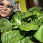 Naike Rivelli Instagram - Questo è il frutto della nostra amata Calabria. Questo cibo é biologico e sano. Questo è tutto quello che non vi danno nei supermercati! 🙈🤦🏻‍♀️🫣🇮🇹❤️‍🩹💔 Nei supermercati ci danno frutta e verdura cresciuta e coltivata all’estero! Piena di pesticidi e tutta uguale come se fosse stampata con una stampante 3d. 🤦🏻‍♀️🙈🫣💔 #naikerivelli @ornellamuti @mariapelle_46 @il_gigante_buono14 @solangel #orto #calabria #italia #chilometrozero #fruttaeverdura #ciboserio #cibosano #bio