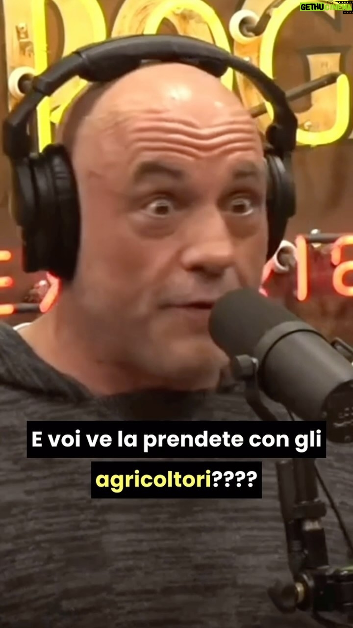 Naike Rivelli Instagram - Il mio mito Joe Rogan, il Re dei podcast, su la situazione degli Agricoltori ๐ฎ๐น My hero Joe Rogan, the King of podcasts, on the farmer situation ๐บ๐ธ @joerogan @joeroganexperience #joerogan #powerfulJRE #agricoltori #aitranslation