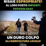 Naike Rivelli Instagram – Famiglie che hanno risai italiani da centinaia di anni che coltivano la terra, spazzati via da campi di fotovoltaici? Che peccato divino. A tutti gli ambientalisti dico che i fotovoltaici non si smaltiscono facilmente negli anni. A lungo andare Inquinano. Da dove prenderemo noi il nostro riso italiano? Sintetico dalle multinazionali o dall’estero? 🤦🏻‍♀️🙈👎🏼💔 #naikerivelli @ornellamuti @il_gigante_buono14 @angelocioccaofficial @codacons_official #scioperoagricoltori