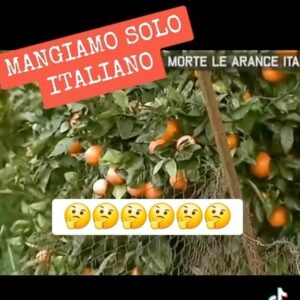 Naike Rivelli Instagram - Nessuno si rende conto…. 
#repost @il_gigante_buono14 
@codacons_official