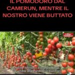 Naike Rivelli Instagram – Racconti che ti fanno spezzare il cuore. #naikerivelli #agricoltori #sosteniamo #madeinitaly #cibosano #bio #chilometrozero #ortaggi #italia #tristezza #tuttiuniti @ornellamuti @il_gigante_buono14 @codacons_official