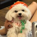 Nam Bo-ra Instagram - 예쁜 우리 공주님~🥕