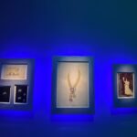 Nam Gyu-ri Instagram – Vancleefarpels🍀

🦚🪺🐓🦜🦅🐦‍🔥🐧🦢

in March