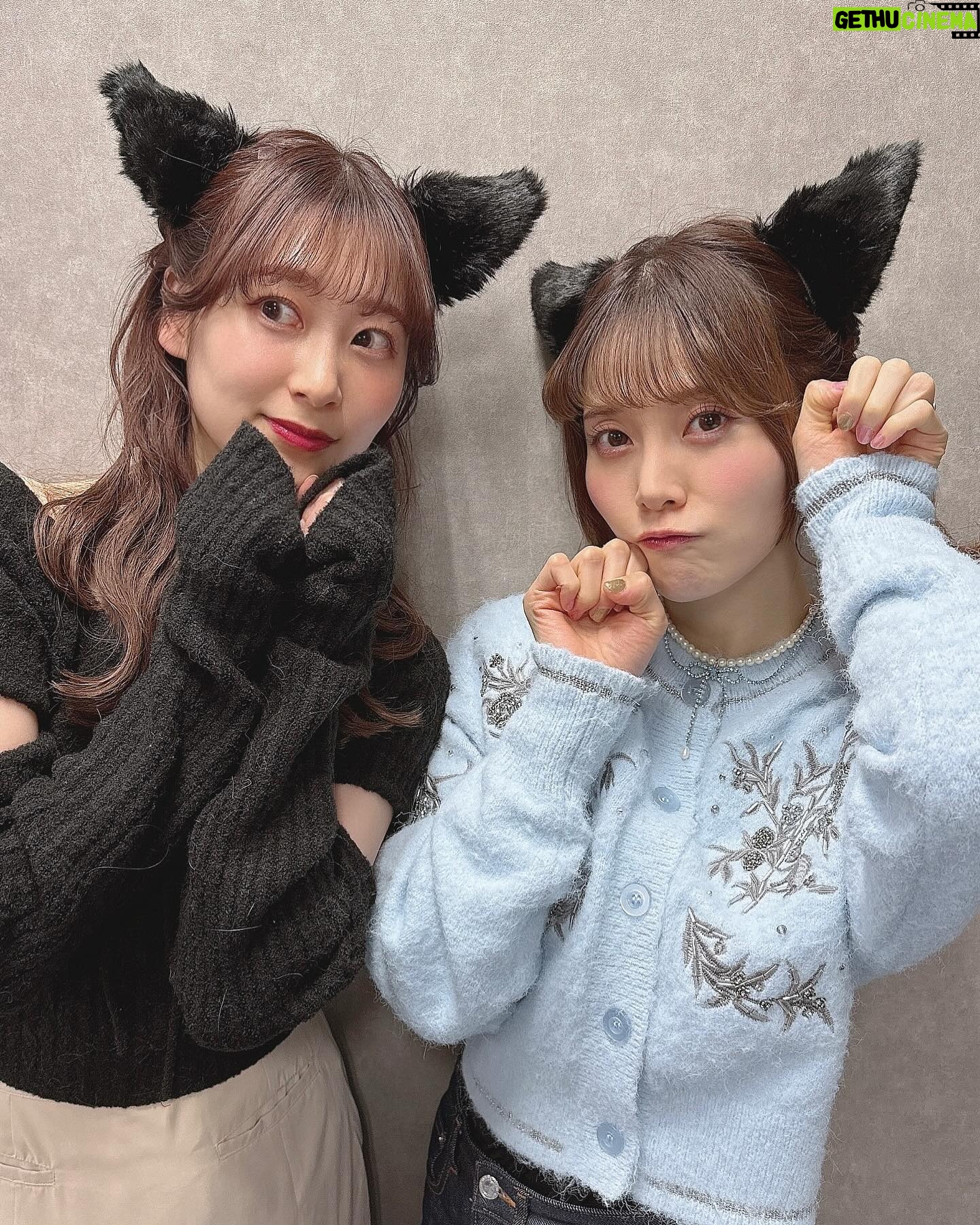 Nanami Yamashita - 2.5K Likes - ā”
ā”
ē«ćć¶2åØå¹“ā”ā”ććććć®ćē„ćććććØććććć¾ććš±š„š±š„
ā”
ęćē«ćć©ć³ćå§åćć¾ććš
š±ęćē«ä¼å”証ć®ēŗč”ļ¼ē§ćć”ć®ęęøććååå
„ćļ¼
š±åćć£ć¹ćć”ć¤ć³ć®ć¢ć¼ć«ć¤ćåē»ļ¼ęØćć«ć”ć©ēćŖććØļ¼
š±ć«ć©ćŖć±é
äæ”ć®ę„½ę²ćŖćÆćØć¹ć権
š±ęÆęę½éøćŖć³ć©ć¤ć³ć話ä¼åå åøļ¼ęÆę1åć«ć©ć³ćć ć§ćé»č©±ćć¾ćļ¼ćä»ęć®ęćē«ć
š±åęć”ć¼ć«ćć¼ćęę”権
š±å£ēÆć®ęęøććć¹ćć«ć¼ć
š±ć²ć¼ć é
äæ”ć®ćć¬ć¤ę½éøåå åø
ā”
ē¦ćØććåć®å¤§åćŖćč³½éćē“ć愽ććć§ćć ćć£ć¦ććåćć©ććć¼ćä½åć«ćčØćäøććććé å¼µćć¾ćššļø
ā”
ꬔåé
äæ”ćÆ2024幓1ę22ę„(ę)š«āØš«āØ
ć«ć”ćć”ć
ćØåć®ć«ć©ćŖć±ä¼ē»ć§ćļ¼
ęćē«ćć©ć³ä¼å”ć®ę¹ćÆćęę„ćććć«ć©ćŖć±ę„½ę²ćŖćÆćØć¹ććć§ćć¾ćć®ć§å
¬å¼ćć§ććÆåæććć«āŖāļø
ā”
1åć«ć©ć³ćć ć§ćé»č©±ćććććä»ęć®ęćē«ććå§ć¾ćć¾ćļ¼ęćē«ćć©ć³ä¼å”ć§21:20ć21:30ć®éć«é»č©±ćē¹ćććć¼ćØććę¹ćÆę½éøåæåćć§ććÆććććć~~šāØš
ā”
ā”
ćć”ćććććććéčÆē«ć®ćæććŖå«ććē«ćć¶ććŖćå§æćØä¼č©±ć§č©ć®åććµć£ćØęćć¦ććć
ććć®ć¾ć¾ć«ćŖććęéććå±ćććēŗļ¼
ć«ć”ćć”ć
ćØććµććÆćŖćØć大å°ćØćēŖēµć¹ćæćććććØććæććŖć§å
ćē®ęćć¦ććć¾ć~ššš
ā”
å¼ćē¶ćććććć¼ć¼ć¼ļ¼ļ¼ļ¼
ā”
#ē«ćć¶
#éčÆē«
#飼ćē«
#ęćē«
#ćć¶