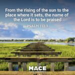 Nancy Mace