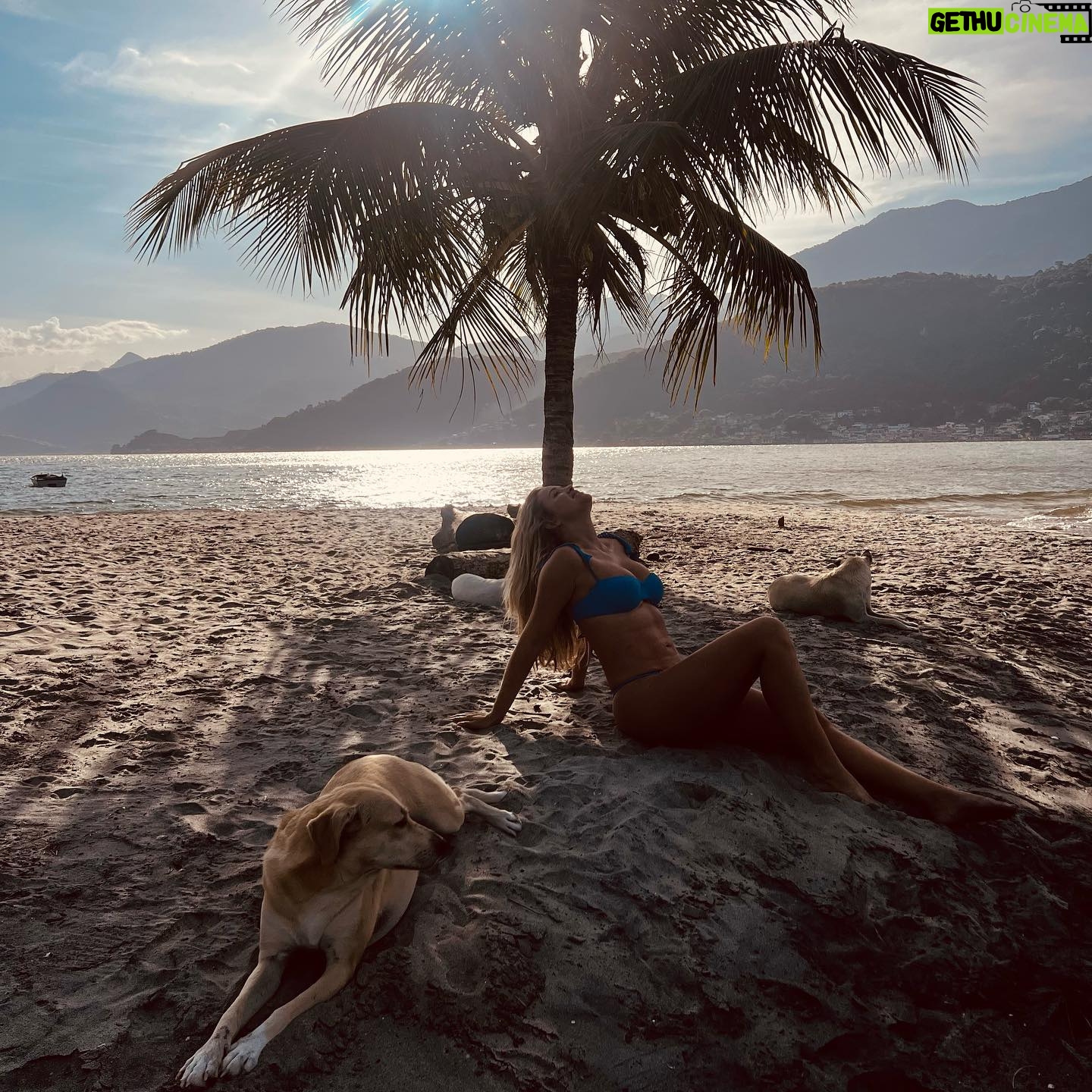 Nanda Ziegler - 494 Likes - 📍Rio de Janeiro 🇧🇷💚 #2024