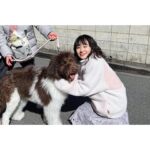 Nao Instagram - . 本日22時から『正義の天秤season2』第1話 撮影の合間、私のポッケに入ったメロンパンをめぐって争った仲🐶✨ #メロンパンは死守いたしました #ドラマの内容とは関係ございません #パワーアップしたルーム1をお楽しみに！