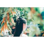 Nao Instagram - . いよいよ明日、ふしぎな雨男さんとの物語が再び動き出します…🕊 . WEDDING CEREMONY☂️ 2022.8.2 19:00～20:00 #himawariwedding #雨男さんの結婚式 #テレ朝　さん
