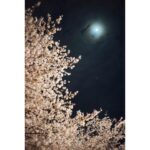 Nao Instagram – .
よ🌸