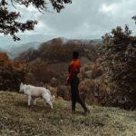 Naomi J. Ogawa Instagram - Some photos from Romania I randomly found! (And that time Johnna and I got barked at 😭)