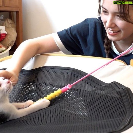 Naomi Trauden Instagram - 動物ベイビーのロケ☺︎ ミルクボランティアという、保護された生後まもない子猫たちにミルクをあげたり体重をはかったり、すんでのところで救われた命を守り育てていらっしゃる方にお話を聞きました。 子猫たちは本当にデリケートで、数グラムの体重の変化でも体調が悪化してしまったりと、ミルクボランティアさんは夜中でも2〜3時間ごとに起きて様子を見たりミルクをあげたりと、実はとても大変なお仕事なのです。 はじめは可愛い子猫たちのお世話なんていいなぁ!と思っていましたが、お話を伺ううちにとても大変で命の責任の伴う大切な役割であることを理解しました。 2枚目の写真は生後1〜2週間ほどのまだ産まれたての小さい子。あまりにも小さくてふにゃふにゃで、抱っこするのも緊張して腰が引けちゃいました笑 大切に大切に育てられた子猫たちは2〜3ヶ月もたつと元気に走り回って遊んで、その後里親さんと巡り会い新しい家族と過ごすのだそう。 先住猫さんがいる場合もあることから、ミルクボランティアさんのお家で仲間たちと過ごす時間が社会性を育むのに大事なんだとか。 そんなお話を聞きながら、足元に寄ってくる子猫たちと触れ合うのはとても尊い時間でした〜。 優しい気持ちになれるロケになりました☺️ ロケ衣装 @musinsa_japan