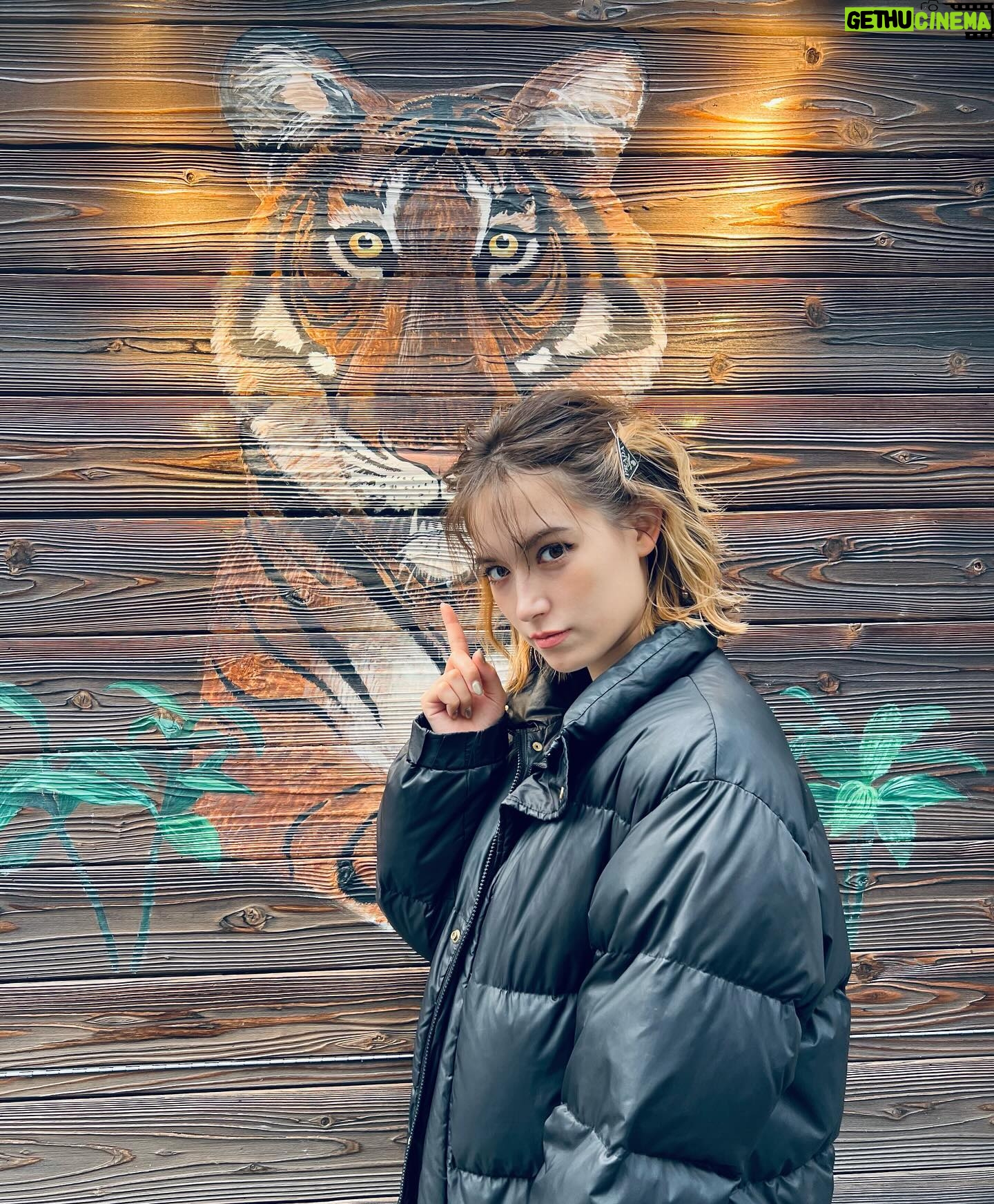Naomi Trauden Instagram - 撮影現場で見かけた🐅 みると撮っちゃうのよね〜、虎と。