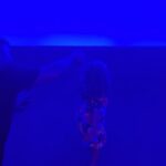 Natália Lage Instagram – boa semana com Maitê escaladora 🩵✨