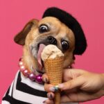 Natacha Karam Instagram - Apparently it’s national dog day so I absolutely had to share this amazing shoot @misscleopatradog did with the lovely @dianalundinphotography . Such a great, if you’re in LA I highly recommend shooting your pets with her 🥹🥹 I adore these pics and I adore my wittle chonky monkey Bebe 💕💕