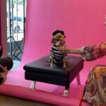 Natacha Karam Instagram - Apparently it’s national dog day so I absolutely had to share this amazing shoot @misscleopatradog did with the lovely @dianalundinphotography . Such a great, if you’re in LA I highly recommend shooting your pets with her 🥹🥹 I adore these pics and I adore my wittle chonky monkey Bebe 💕💕