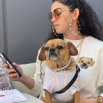 Natacha Karam Instagram - Happy Birthday to the love of my life, Cleopatra. You are my teacher, you are home, you are the best thing that has ever happened to me and you have single handedly taught me more about love than any other being on this earth. Some days I can’t hold back the tears when the thought crosses my mind that your lifetime is designed to be shorter than mine. It feels so terrifying to imagine a world without you. But I know that’s part of your lessons to me too, teaching me to let go. Teaching me to be present and live in the only day that’s guaranteed. Be here, be still, be now. The day you walked into my life it changed for ever. I am so grateful for every moment and smile we share, every walk and wag, every full body wiggle. You are love personified and I am so honoured to call you mine. Let’s continue our amazing journey together and keep spreading joy for a long time to come. Love you more than words. Happy Birthday my sweet baby!❤️❤️❤️
