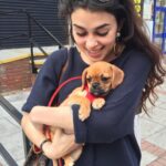 Natacha Karam Instagram - Happy Birthday to the love of my life, Cleopatra. You are my teacher, you are home, you are the best thing that has ever happened to me and you have single handedly taught me more about love than any other being on this earth. Some days I can’t hold back the tears when the thought crosses my mind that your lifetime is designed to be shorter than mine. It feels so terrifying to imagine a world without you. But I know that’s part of your lessons to me too, teaching me to let go. Teaching me to be present and live in the only day that’s guaranteed. Be here, be still, be now. The day you walked into my life it changed for ever. I am so grateful for every moment and smile we share, every walk and wag, every full body wiggle. You are love personified and I am so honoured to call you mine. Let’s continue our amazing journey together and keep spreading joy for a long time to come. Love you more than words. Happy Birthday my sweet baby!❤️❤️❤️
