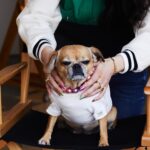 Natacha Karam Instagram - Love of my life No shoot happens without her ❤️🐕 Little miss Hollywood