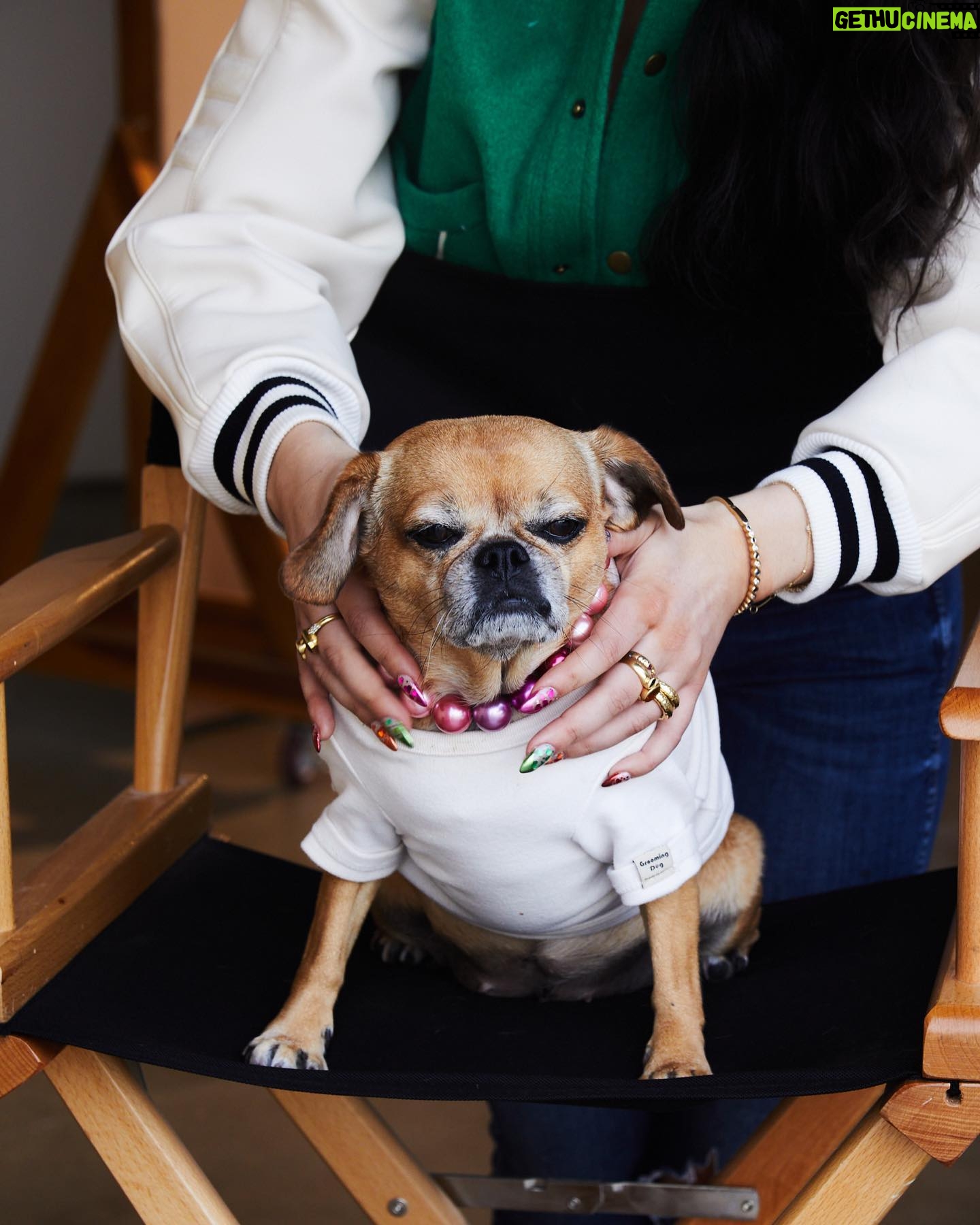 Natacha Karam Instagram - Love of my life No shoot happens without her ❤️🐕 Little miss Hollywood
