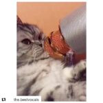 Natali Yura Instagram - Mood 🔪