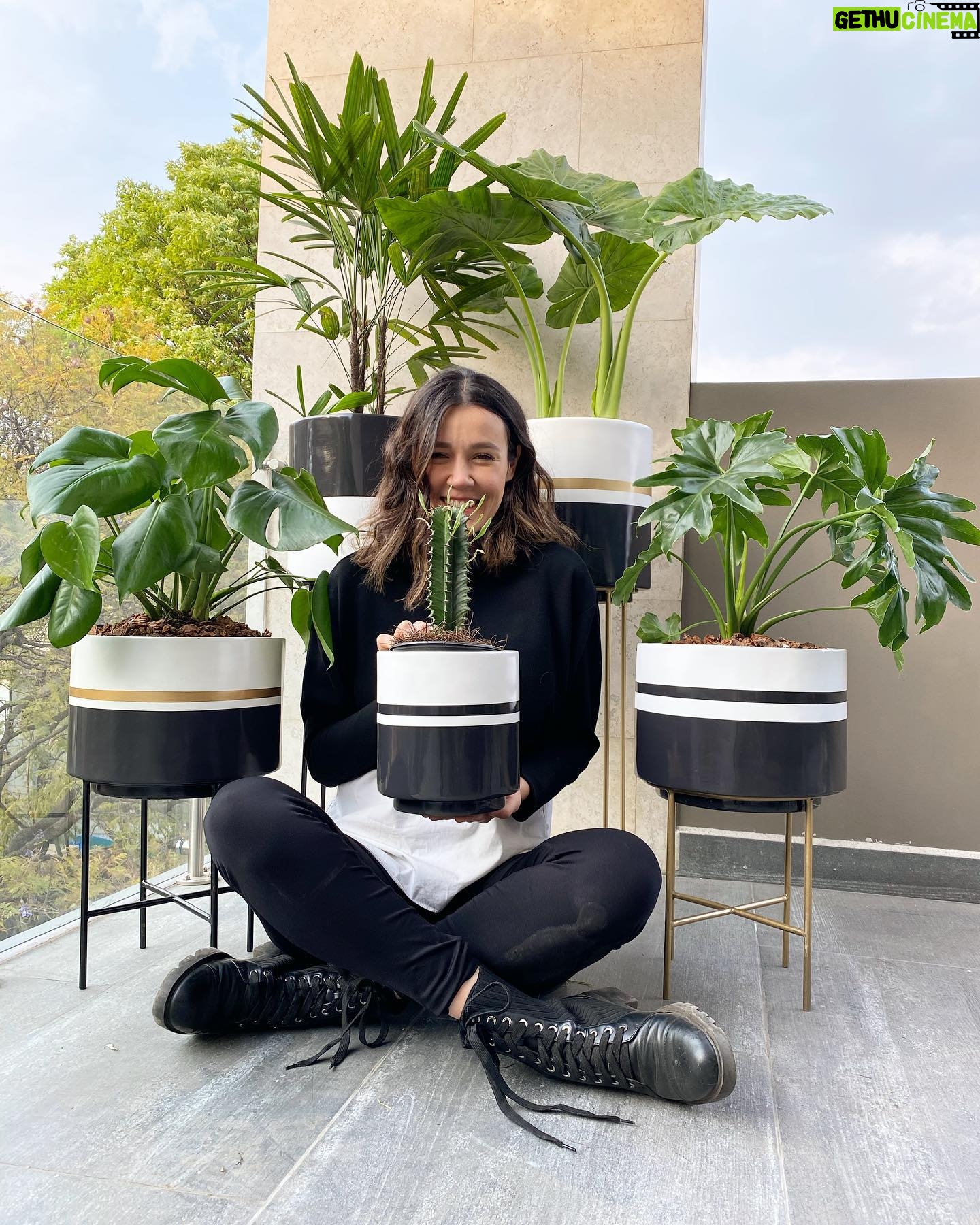 Natalia Guerrero - 2.4K Likes - Quien más es adicto a las plantas como yo!?
LaLaPot! @lalapot.mx