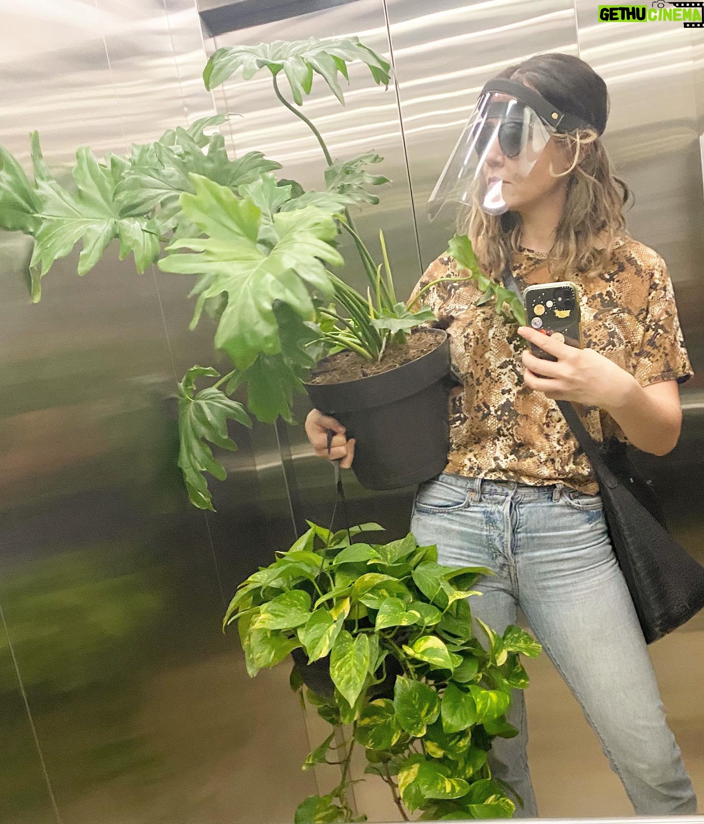 Natalia Guerrero - 1.9K Likes - Quien más es adicta a las plantas como yo?
Cualquier lugar con plantas siempre se va a ver mejor! #laseñoradelasplantas