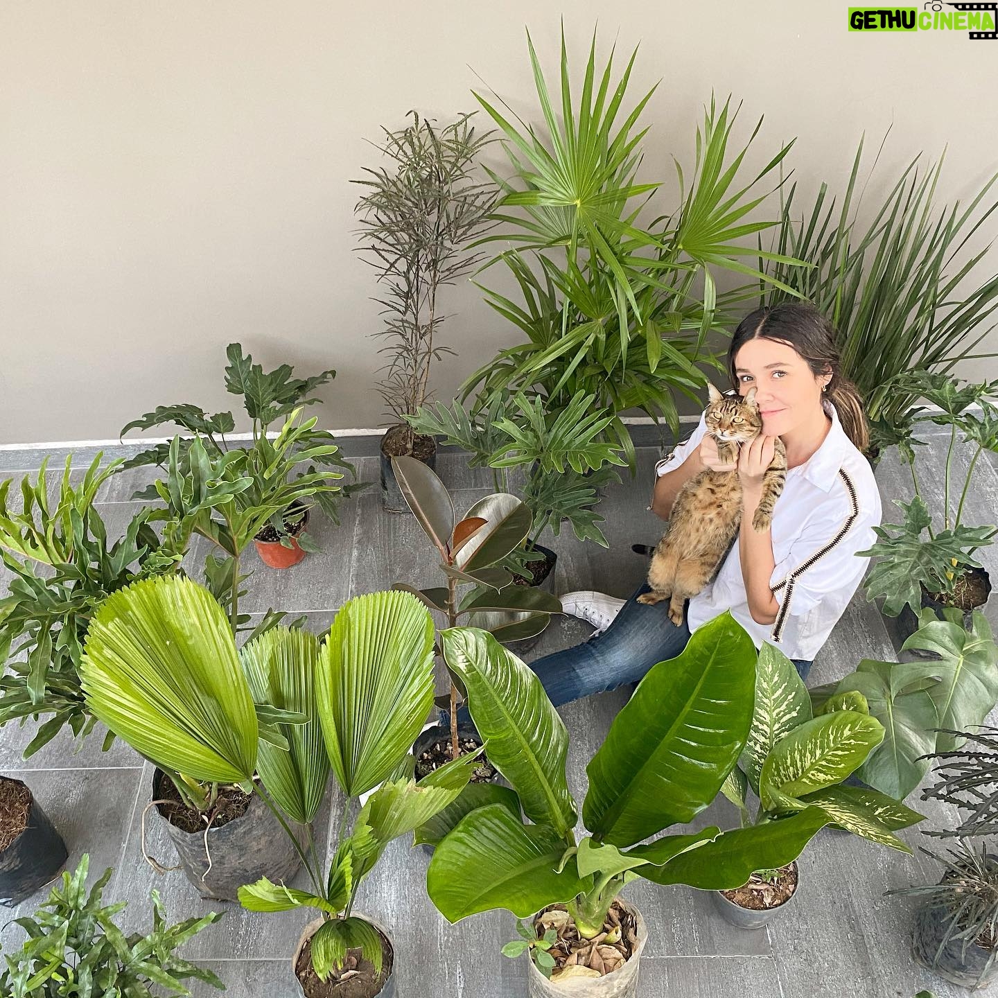 Natalia Guerrero - 1.2K Likes - Hoy me compre unas plantas amigos.
Son mis 10 plantas favoritas!
Premio al que me diga el nombre de al menos 3 de estas plantas.