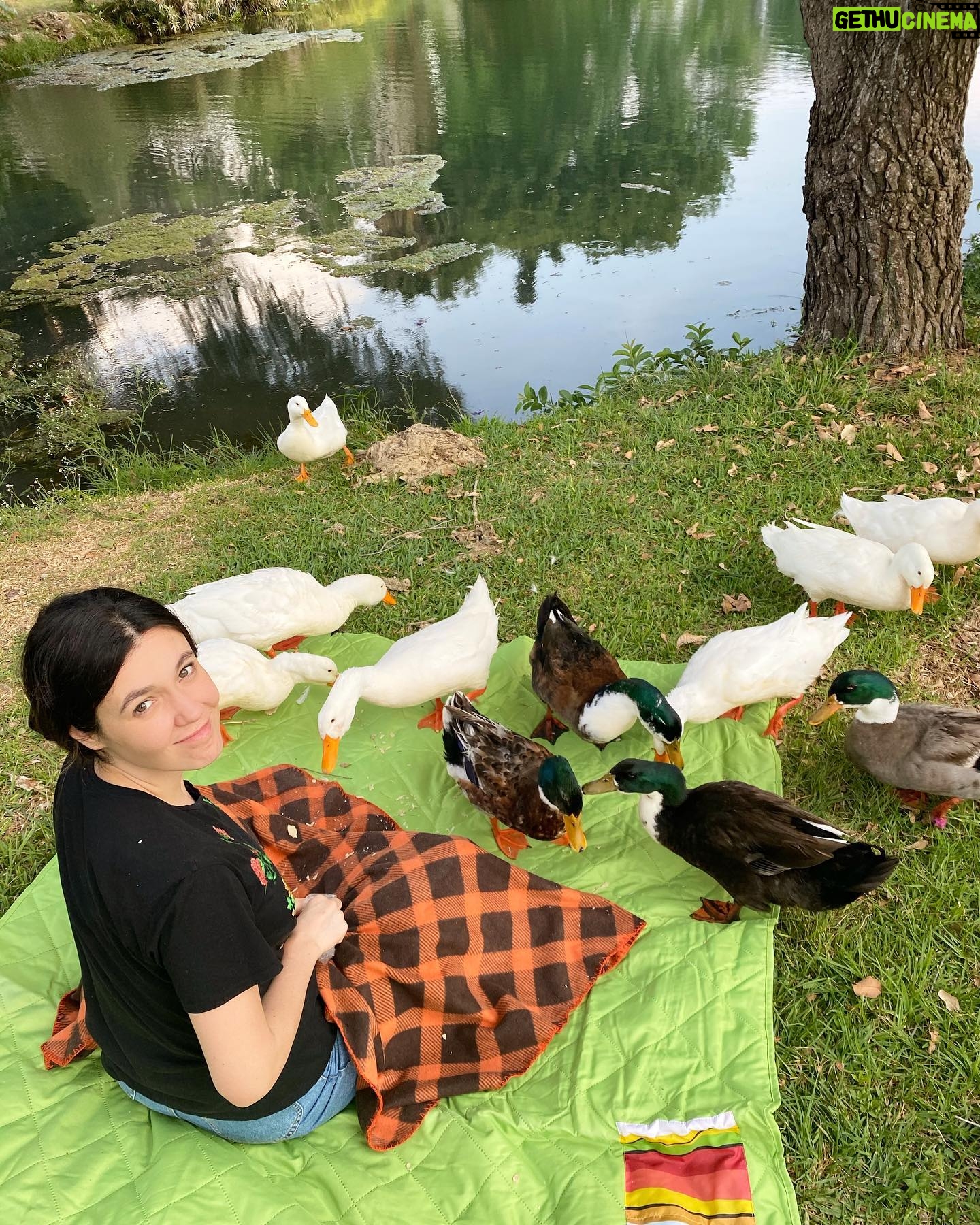 Natalia Guerrero - 1.6K Likes - No se logró hacer el picnic romántico. 😒
@lautarosilv ❤️