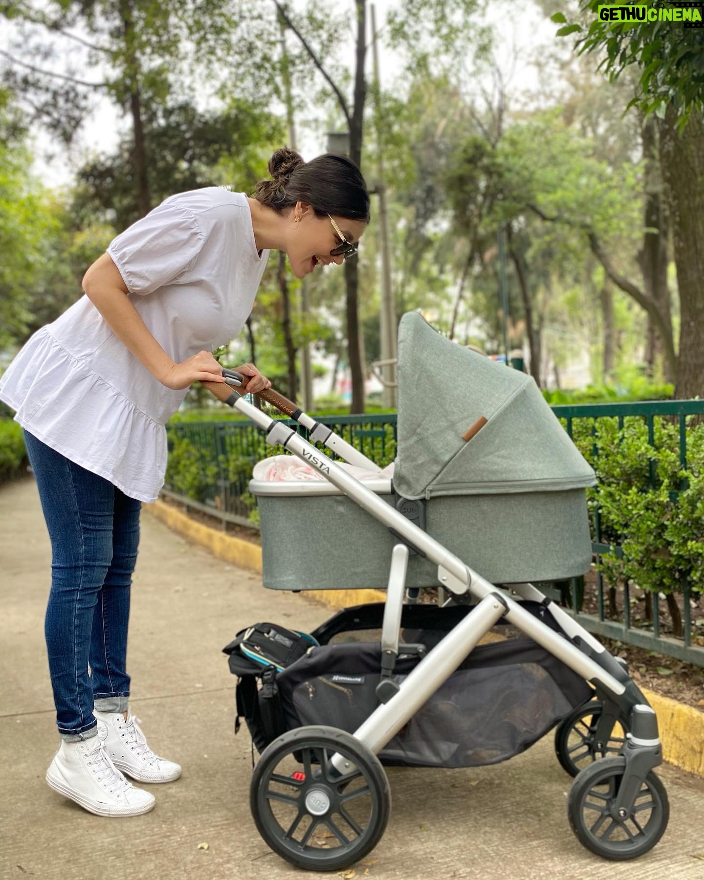 Natalia Guerrero - 3K Likes - Esta Carreola ha sido mi aliada para caminar por horas con Elena en la CDMX.
Amortigua todos los baches de la ciudad.
La pueden conseguir en @babyupmx manejan las mejores marcas en artículos para bebé. @uppababy_mexico