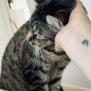 Natalia de Molina Instagram - Mi tigre, mi lince, mi niño, mi rey, mi mafi… mi todo…
Aprender a dejarte ir ha sido lo más difícil que he hecho en mi vida, ni si quiera sé si lo he conseguido…
Cualquiera que te haya conocido sabe lo jodidamente especial que eres. Cualquiera que me conozca sabe lo que significas para mi. 
Hemos vivido toda nuestra independencia juntos. 
Te quiero, te quiero infinito y este vacío no lo va a llenar nadie. Se queda conmigo. Aquí. Y es nuestro.
💔