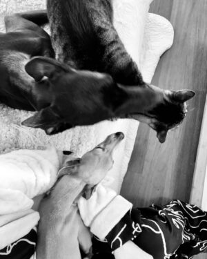 Natalia de Molina Instagram - Mi tigre, mi lince, mi niño, mi rey, mi mafi… mi todo…
Aprender a dejarte ir ha sido lo más difícil que he hecho en mi vida, ni si quiera sé si lo he conseguido…
Cualquiera que te haya conocido sabe lo jodidamente especial que eres. Cualquiera que me conozca sabe lo que significas para mi. 
Hemos vivido toda nuestra independencia juntos. 
Te quiero, te quiero infinito y este vacío no lo va a llenar nadie. Se queda conmigo. Aquí. Y es nuestro.
💔