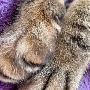 Natalia de Molina Instagram - Mi tigre, mi lince, mi niño, mi rey, mi mafi… mi todo…
Aprender a dejarte ir ha sido lo más difícil que he hecho en mi vida, ni si quiera sé si lo he conseguido…
Cualquiera que te haya conocido sabe lo jodidamente especial que eres. Cualquiera que me conozca sabe lo que significas para mi. 
Hemos vivido toda nuestra independencia juntos. 
Te quiero, te quiero infinito y este vacío no lo va a llenar nadie. Se queda conmigo. Aquí. Y es nuestro.
💔