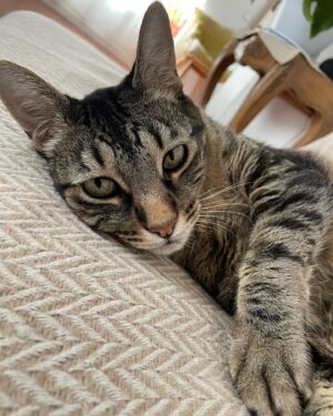 Natalia de Molina Instagram - Mi tigre, mi lince, mi niño, mi rey, mi mafi… mi todo…
Aprender a dejarte ir ha sido lo más difícil que he hecho en mi vida, ni si quiera sé si lo he conseguido…
Cualquiera que te haya conocido sabe lo jodidamente especial que eres. Cualquiera que me conozca sabe lo que significas para mi. 
Hemos vivido toda nuestra independencia juntos. 
Te quiero, te quiero infinito y este vacío no lo va a llenar nadie. Se queda conmigo. Aquí. Y es nuestro.
💔