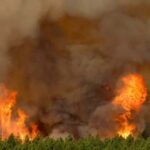 Natalia Ferviú Instagram - Casi 4000 hectáreas quemadas en un perímetro de 41,9 kms. Ocho municipios afectados: unas 7500 personas y a saber cuántos animales... Y subiendo, porque el incendio aún no está controlado. Lo peor es que todo apunta que fue intencionado. Siento impotencia y mucha rabia al ver mi tierra en llamas. No sé qué probabilidad hay de pillar al responsable, pero ojalá sí y que se haga justicia. Muchísimas gracias a todas las personas involucradas en las labores de ayuda y rescate, desde bomberos a protectoras de animales. Gracias al resto de isleñxs, que nos están apoyando al máximo. Y a muchas y muchos peninsulares y extranjeros que a pesar de la distancia tienen ahora mismo a Tenerife en su corazón. Ojalá esta pesadilla acabe pronto. Tenerife ¡resiste! ✊🏼 📸 Créditos: Fotos 1 y 2 de Borja Suárez Foto 3 de Ramón de la Rocha.