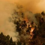 Natalia Ferviú Instagram - Casi 4000 hectáreas quemadas en un perímetro de 41,9 kms. Ocho municipios afectados: unas 7500 personas y a saber cuántos animales... Y subiendo, porque el incendio aún no está controlado. Lo peor es que todo apunta que fue intencionado. Siento impotencia y mucha rabia al ver mi tierra en llamas. No sé qué probabilidad hay de pillar al responsable, pero ojalá sí y que se haga justicia. Muchísimas gracias a todas las personas involucradas en las labores de ayuda y rescate, desde bomberos a protectoras de animales. Gracias al resto de isleñxs, que nos están apoyando al máximo. Y a muchas y muchos peninsulares y extranjeros que a pesar de la distancia tienen ahora mismo a Tenerife en su corazón. Ojalá esta pesadilla acabe pronto. Tenerife ¡resiste! ✊🏼 📸 Créditos: Fotos 1 y 2 de Borja Suárez Foto 3 de Ramón de la Rocha.