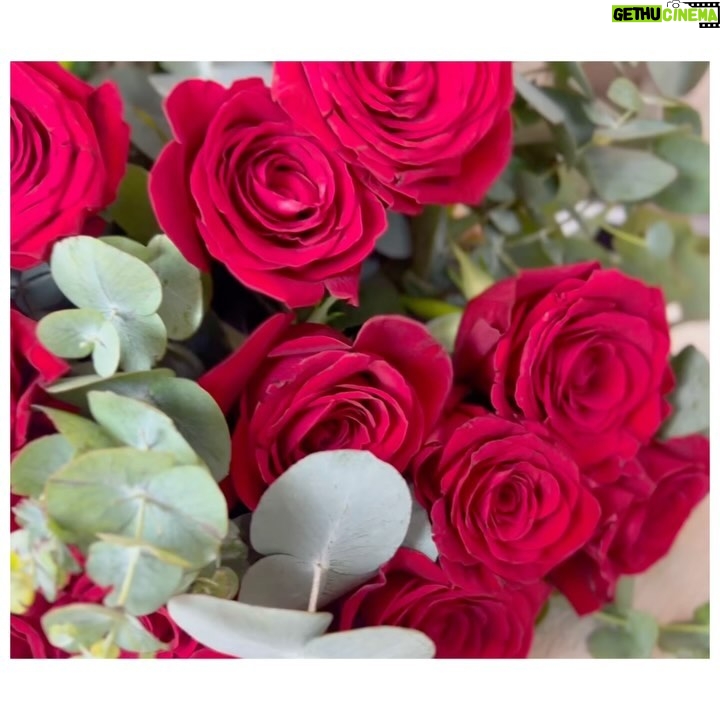 Natalia Sánchez - 75.7K Likes - Mi regalo de San Valentín NO han sido estas flores…Ha sido levantarme un día más al lado del mejor compañero de viaje que jamás hubiera podido imaginar… Esta mañana me he levantado pronto, como siempre, para ir temprano a trabajar y, a las 6:03am, he oído a Marc haciendo ruido en el salón… He intentado abrir la puerta y me ha espetado un:”¡Espera, espera! ¡Todavía no entres!”. Unos segundos más tarde ha abierto la puerta y, un desayuno y un ramo preciosos me esperaban sobre la mesa. 🌹
El desayuno estaba delicioso y las flores eran preciosas pero lo que lleva haciéndome sonreír todo el día, es pensar que, mientras preparaba ese precioso desayuno, mientras cortaba el aguacate, preparaba el café como me gusta o de camino a la floristería, pensaba en que aquello me iba a hacer ilusión, que a ratitos había pensado en mi, igual que yo pienso en Él.
El regalo es saber que estás al otro lado. Que seguimos remando en la misma dirección; sosteniendo, sumando, aprendiendo, emocionándonos, confiando, jugando…
Bfff.. ¡Qué SUERTE! 🥹
Siempre he creído que #SanValentin es hoy y siempre, con pareja o sin ella, porque el amor hay que celebrarlo cada día!🥰
PD: no os quedéis con mi cara de dormida, solo con la sonrisilla…☺️
