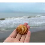 Natalia Sánchez Instagram - Playa, fresquito y picnic en el maletero¿por qué no?😍 Desconectar para conectar…🙏🌊 Subirse al coche y… ¡carretera y manta!🍃🚙 A veces hace falta hacer una escapada(por muy fugaz que sea) con alguien a quien quieres muuucho, muuucho (creo que sabéis con quién me he escapado yo..😉), para cargar pilas…🥹🔋 PD: Si estáis pensando en hacer una escapada o un viaje en coche acordaros de hacerle una buena revisión, porfa!☝️ (ya os conté que la de @norautoespana es 🔝🔝! Os dejo detalles de “Mi Eco Revisión Viaje” en destacados para que lo tengáis siempre a mano porque es muy útil☝️)(y la súper nevera eléctrica, también es de NORAUTO! Que cabe DE TODO y se puede enchufar también en el coche! Es un inventazo!😍 Entonces… ¿Sois más de playa en invierno o en verano…?🧐 #Embajadora #Norauto