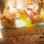 Natalia Tena Instagram - BARCELONA, MI AMOR! Fuimos a celebrar la Reina de los Bares @canyella_vins @pepa_bar_a_vins comer, beber y bailar en su honor. Vi viejos amigos, hice mucho HA HA y Blah Blah. No quiero volver a London!