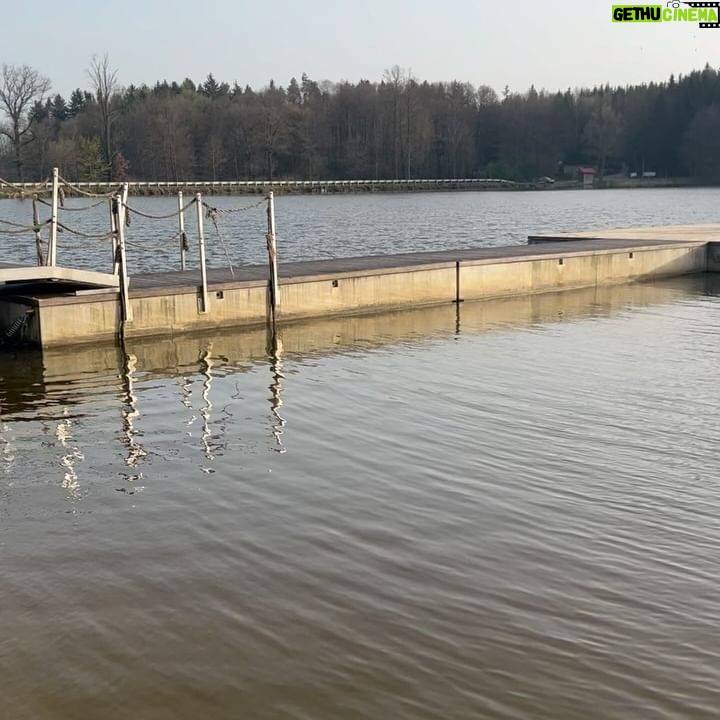 Natálie Grossová - 2.1K Likes - Krásné Velikonoce💛🐣
Jak já jsem ráda, že už tu máme zase jaro. Hned má člověk s tím sluníčkem lepší náladu🫶🏻tak ho běžte ven pořádně načerpat a užívejte kamarádi🌼