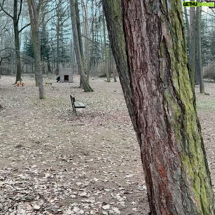 Natálie Grossová - 2.3K Likes - :D