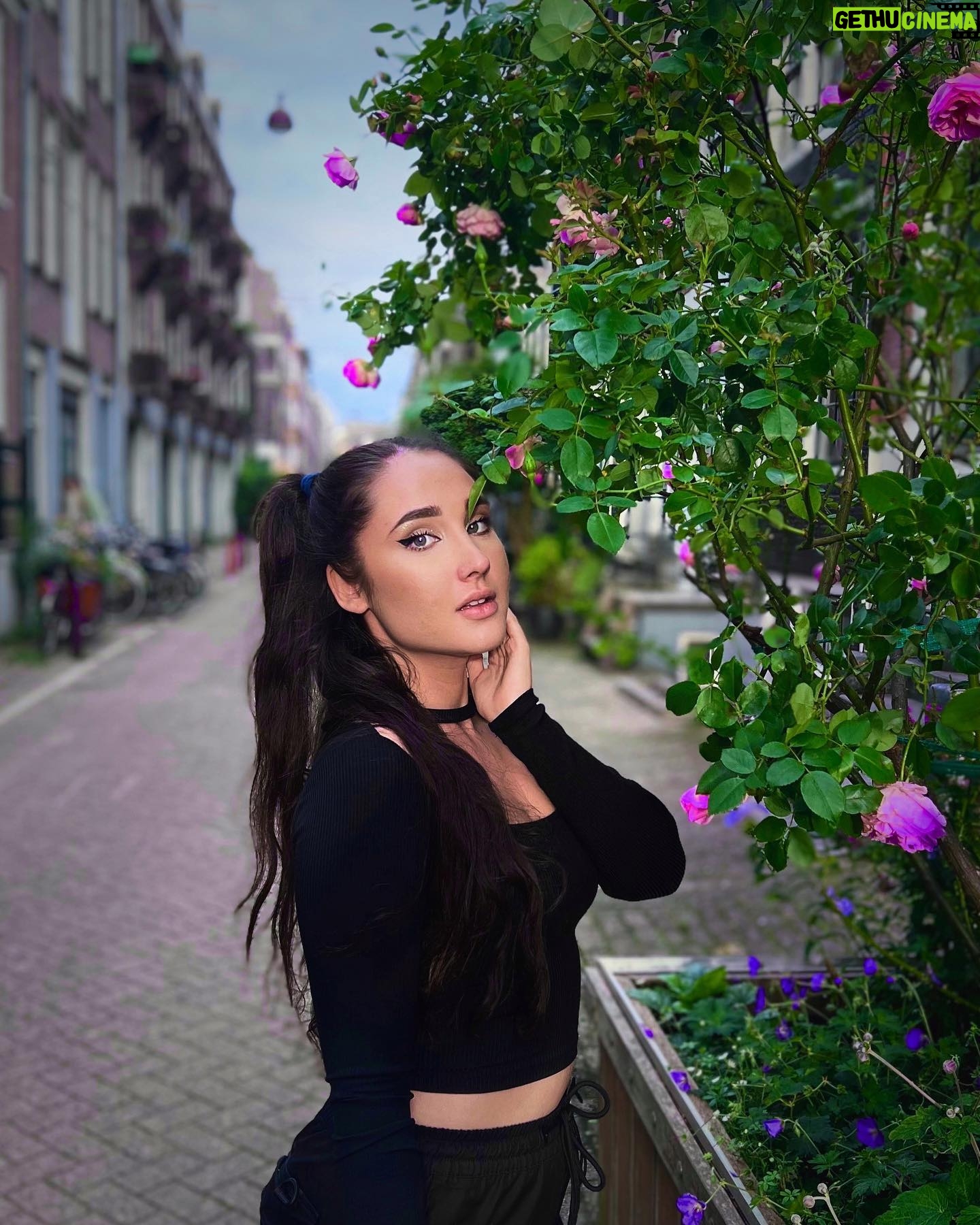 Natálie Grossová - 1.8K Likes - Nový song WONDERLAND out now💜🦋 tohle je pro mě víc osobní záležitost, tak doufám, že se vám bude líbit🫶🏻 můžete poslechnout na všech streamovacích platformách pod jménem Natally🦋 dejte vědět do komentářů, co si o tom myslíte☺️ thank you guys💜 @prodhitmydm @pjay_music #wonderland #natally #outnow #newsong