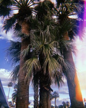 Natalie Zea Instagram - Limbo ‘24 🩲